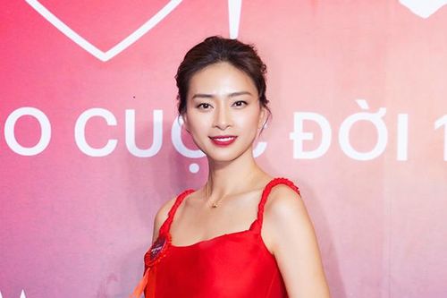Ngô Thanh Vân kêu gọi hơn 13 tỷ đồng giúp trẻ em bị tim bẩm sinh