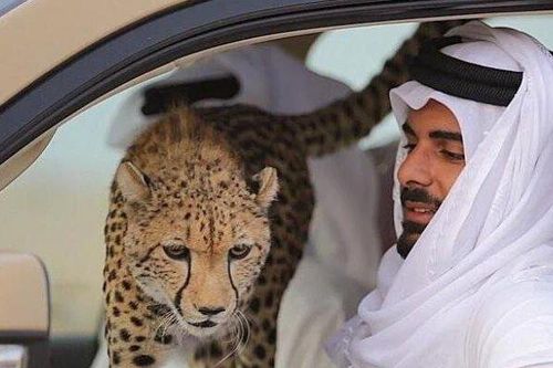 Đã con mắt với dàn siêu xe cực khủng của Hoàng tử Qatar