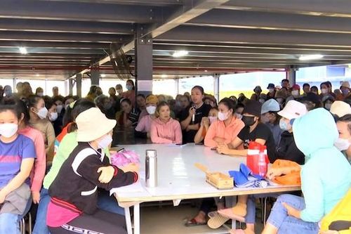 Hơn 500 công nhân ở Đà Nẵng bị cho thôi việc