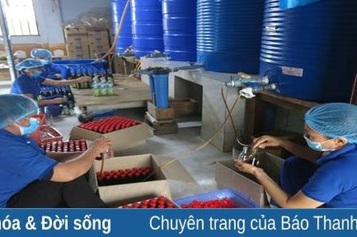 Chương trình OCOP: Tạo nhiều việc làm cho lao động