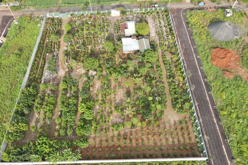 Công an vào cuộc vụ bỏ ngoài quy hoạch 7.000m2 'đất vàng' ở Gia Lai