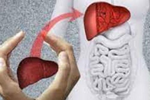 Cấy ghép nội tạng từ người hiến cao niên nhất thế giới