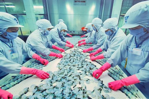 Xuất khẩu Cà Mau đạt 1,3 tỷ USD