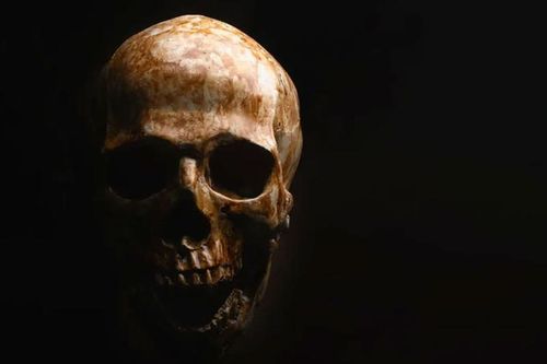 Phát hiện loài người 'ma' bí ẩn ở Tây Phi, chuyên gia lý giải sao?