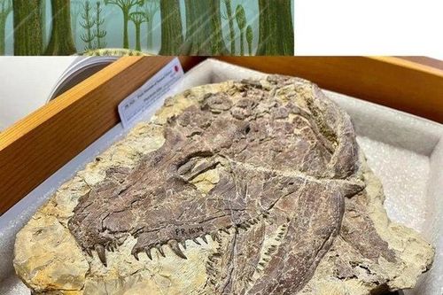 Tổ tiên 'quái thú' của loài người đáng sợ hơn khủng long bạo chúa