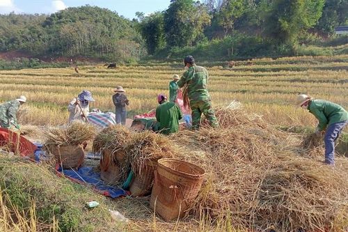 Mùa ấm no trên biên giới Mường Lát