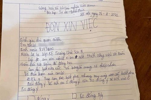 Bé lớp 5 viết đơn xin việc khiến netizen 'tan chảy': 'Con chỉ biết rửa cốc, bưng bê mong cô chấp nhận'