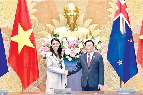 Động lực quan trọng, đem lại tầm vóc mới cho quan hệ Việt Nam - New Zealand