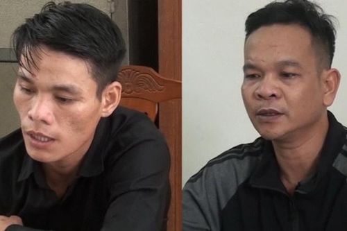 Dùng ôtô đi trộm 54 con bò