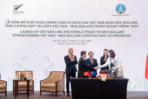 Việt Nam và New Zealand đẩy mạnh hợp tác vì mục tiêu tăng trưởng