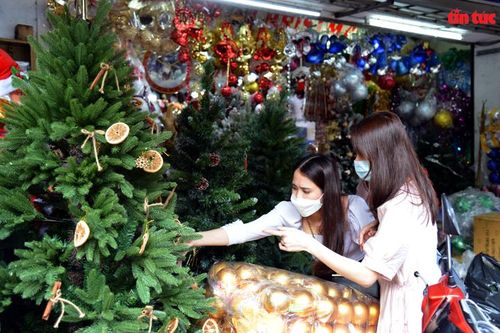 TP Hồ Chí Minh: Thị trường Noel sôi động, giá tăng từ 10 - 50%