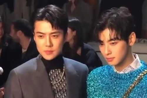 Oh Sehun và Cha Eunwoo mỗi người một vẻ, 'gấp đôi visual' tại show diễn thời trang của Dior