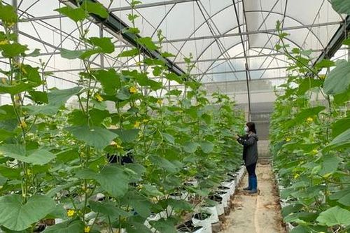 Bắc Giang: Đưa nhanh khoa học công nghệ vào sản xuất, phát triển nông nghiệp, nông thôn