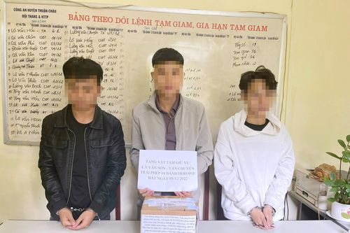 Công an Sơn La bắt 3 đối tượng người Điện Biên vận chuyển 4 bánh heroin