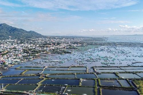 Thu hồi hơn 1.254 ha đất để triển khai dự án khu đô thị ven vịnh Cam Ranh