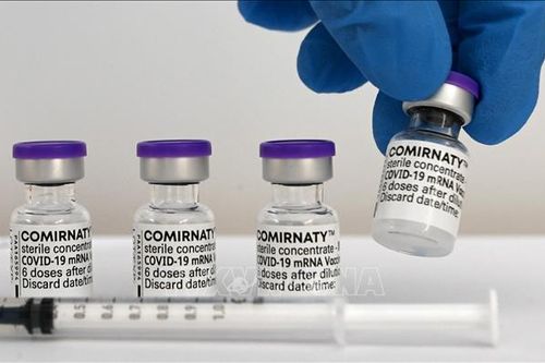 Pfizer xin cấp phép sử dụng vaccine chống biến thể Omicron cho trẻ dưới 5 tuổi tại Mỹ