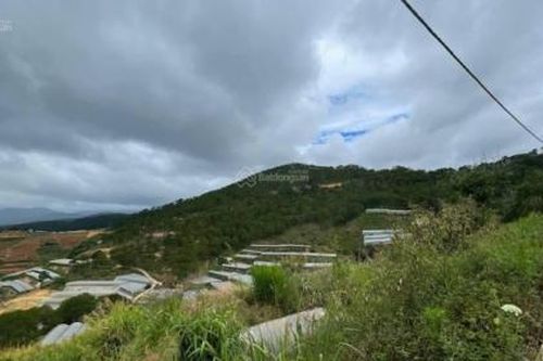 Đà Lạt: Chuyển Công an điều tra vụ mua đắt, bán rẻ gần 12.000 m2 đất