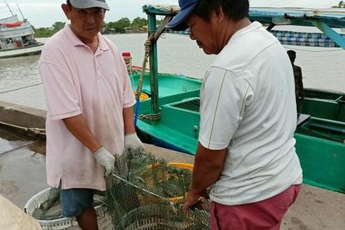 Ngư dân đón lộc biển