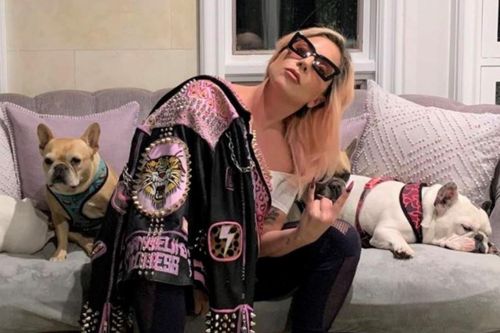 Kẻ tấn công nhân viên của Lady Gaga ngồi tù 21 năm