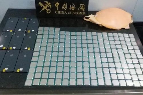 Bị bắt vì giấu CPU và iPhone trong bụng bầu giả