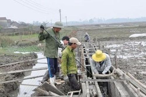 Ban Giám sát đầu tư của cộng đồng có ít nhất 5 thành viên