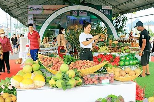 Đưa xoài Sơn La vào thị trường