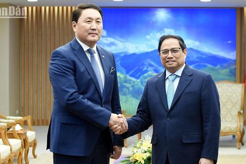 Tăng cường hợp tác kinh tế, thương mại, đầu tư với Mông Cổ, bổ sung thế mạnh cho hai nước