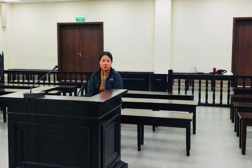 Nữ giám đốc nhận án 8 năm tù vì lừa bán biệt thự không có thật