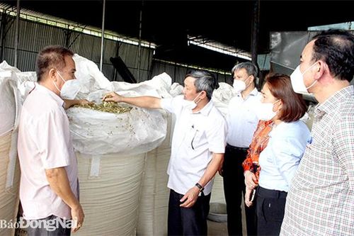 Cánh đồng lớn đã thực sự lớn
