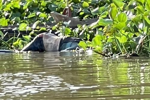 Truy tìm tung tích thi thể người đàn ông nổi trên sông Tiền