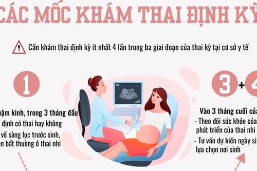 Các mốc khám thai định kỳ cần lưu ý