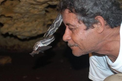 Hang rắn treo kỳ quái ở Mexico