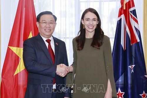 Ấn tượng tốt đẹp ở Wellington