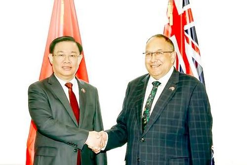 Việt Nam-New Zealand tăng cường hợp tác nhiều lĩnh vực