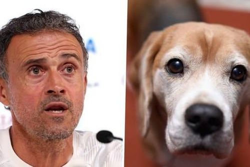 HLV Luis Enrique khiến người Tây Ban Nha tức điên vì muốn về nhà gặp… chó