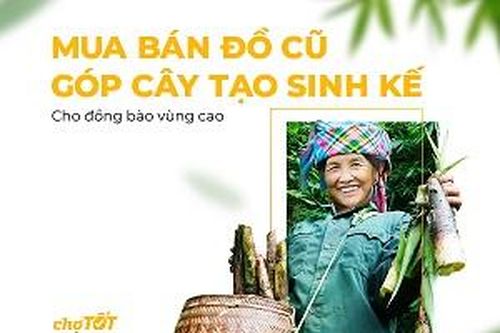 Chương trình 'góp cây tạo sinh kế' hỗ trợ đồng bào dân tộc thiểu số