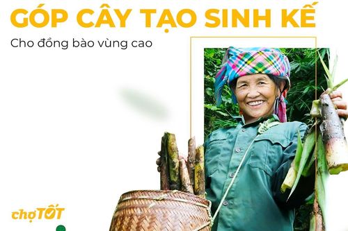 TreeBank, Chợ Tốt góp cây tạo sinh kế bền vững cho đồng bào vùng cao