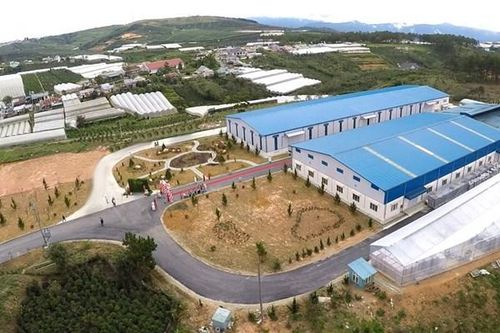 Cổ phiếu VDL bị cắt margin từ hôm nay 7/12