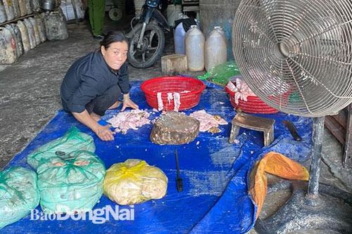 Phát hiện một cơ sở chế biến mỡ heo không đảm bảo vệ sinh