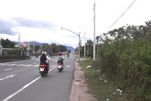 Biển báo bị cây xanh che khuất