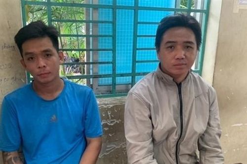 Đang chạy xe ba gác, 'chở trộm' cây mai giá chục triệu về…chơi Tết