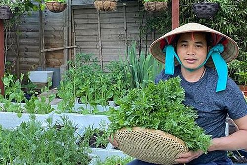 Ông bố hai con làm vườn rau di động