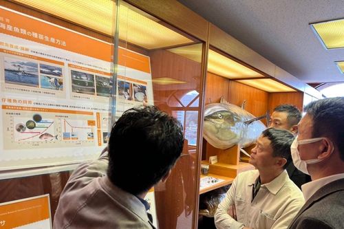 Jack Ma sống ở Nhật, từ bỏ chức vụ quan trọng