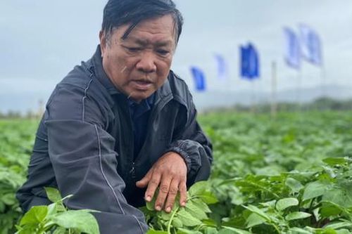 Triển vọng hợp tác phát triển ngành hàng rau quả