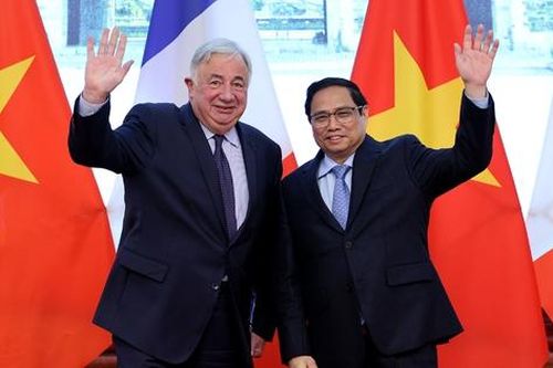 Đưa quan hệ hợp tác Việt Nam-Pháp ngày càng đi vào chiều sâu, thiết thực và hiệu quả