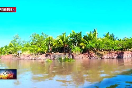Đảm bảo nơi ăn ở cho người dân khu vực sạt lở