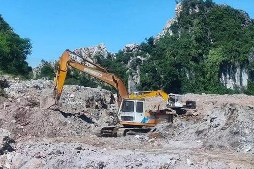 Ai đứng sau Cty Giống gia súc Thanh Ninh bị phạt 650 triệu?