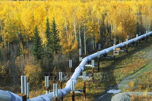 Canada: Tạm ngừng vận hành đường ống Keystone do sự cố rò rỉ dầu