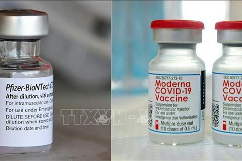 Mỹ cấp phép vaccine ngừa COVID-19 cải tiến của Moderna và Pfizer cho trẻ từ 6 tháng tuổi