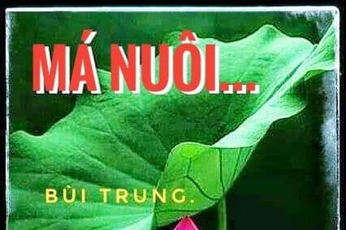 Má nuôi